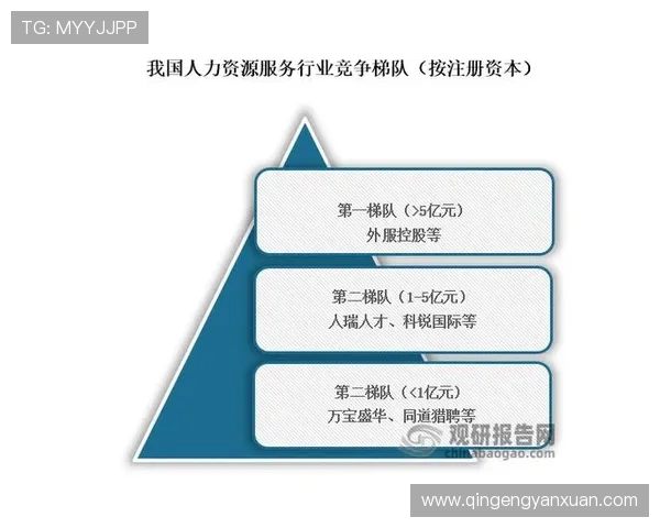 亚星个人资料深度分析，帮助用户全面了解他的行业影响力